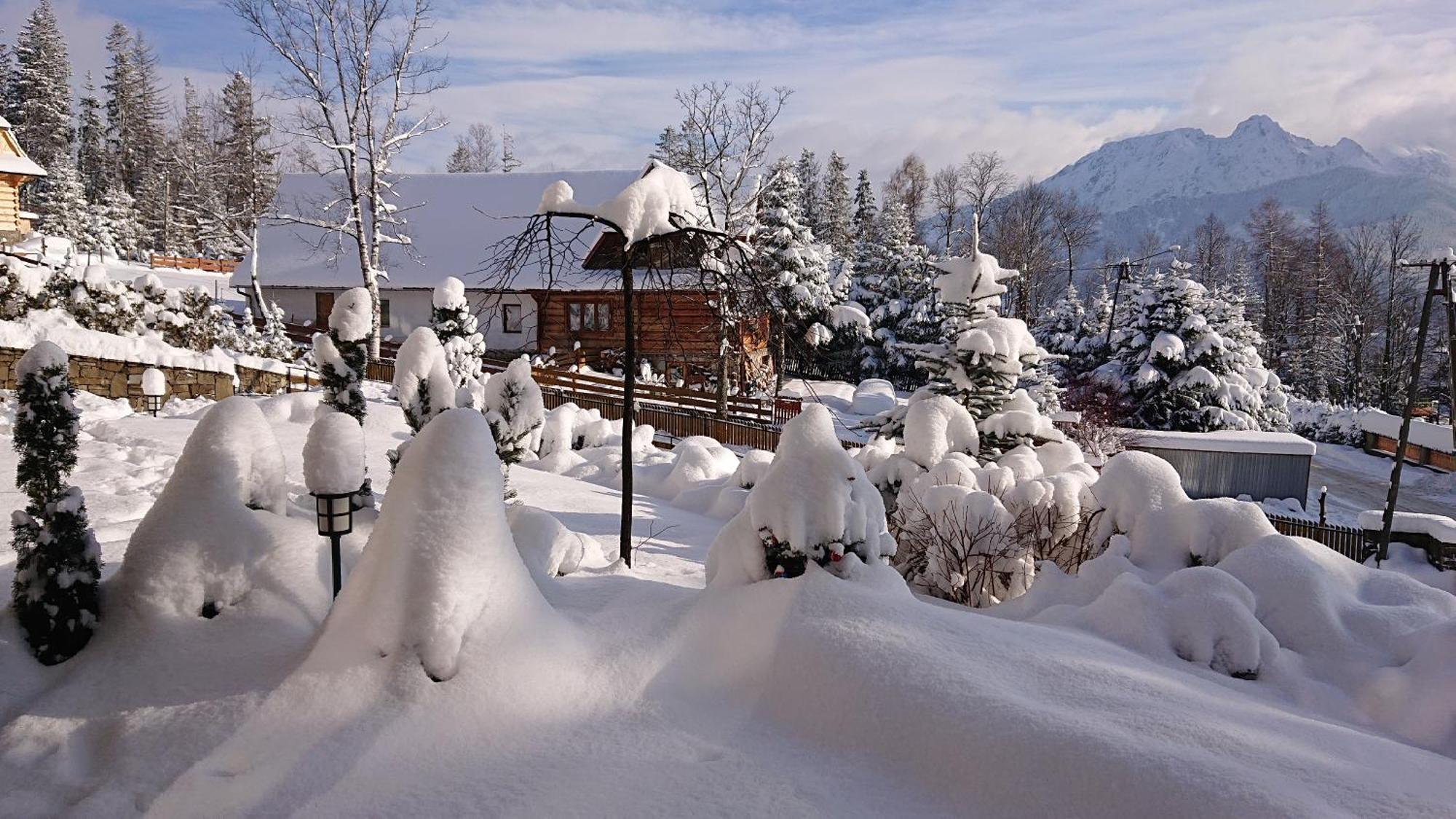 Апартаменты Apartament Z Widokowym Tarasem Na Tatry Косцелиско Экстерьер фото